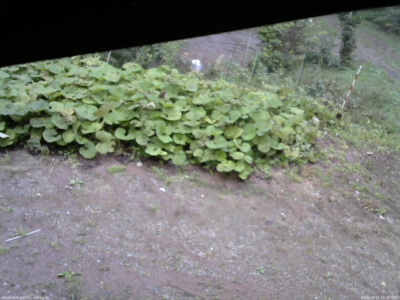 長野県菅平高原 ゆたか山荘 駐車場 2025/09/21 16:45