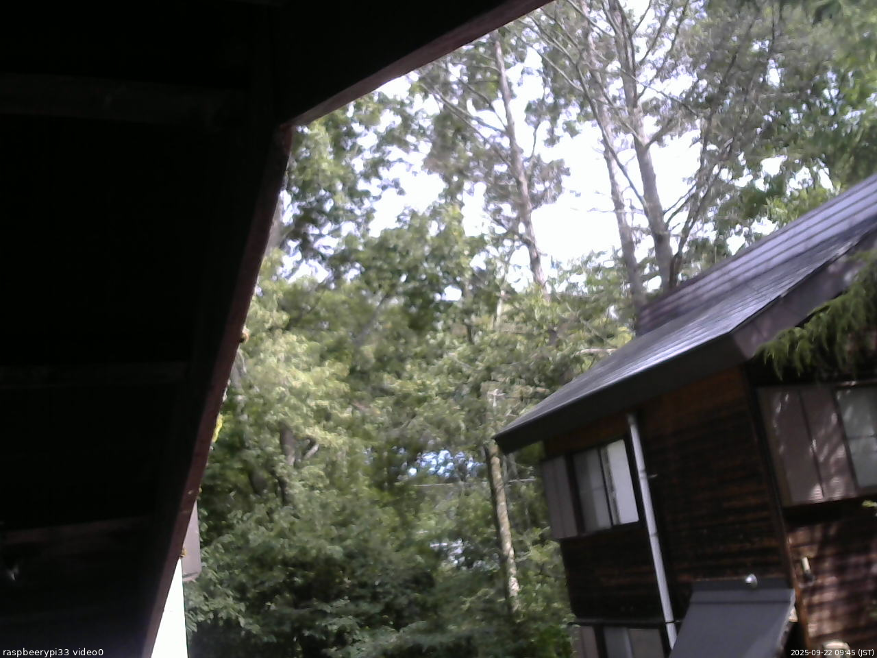 長野県菅平高原 ゆたか山荘 北側 2025/09/22 09:45