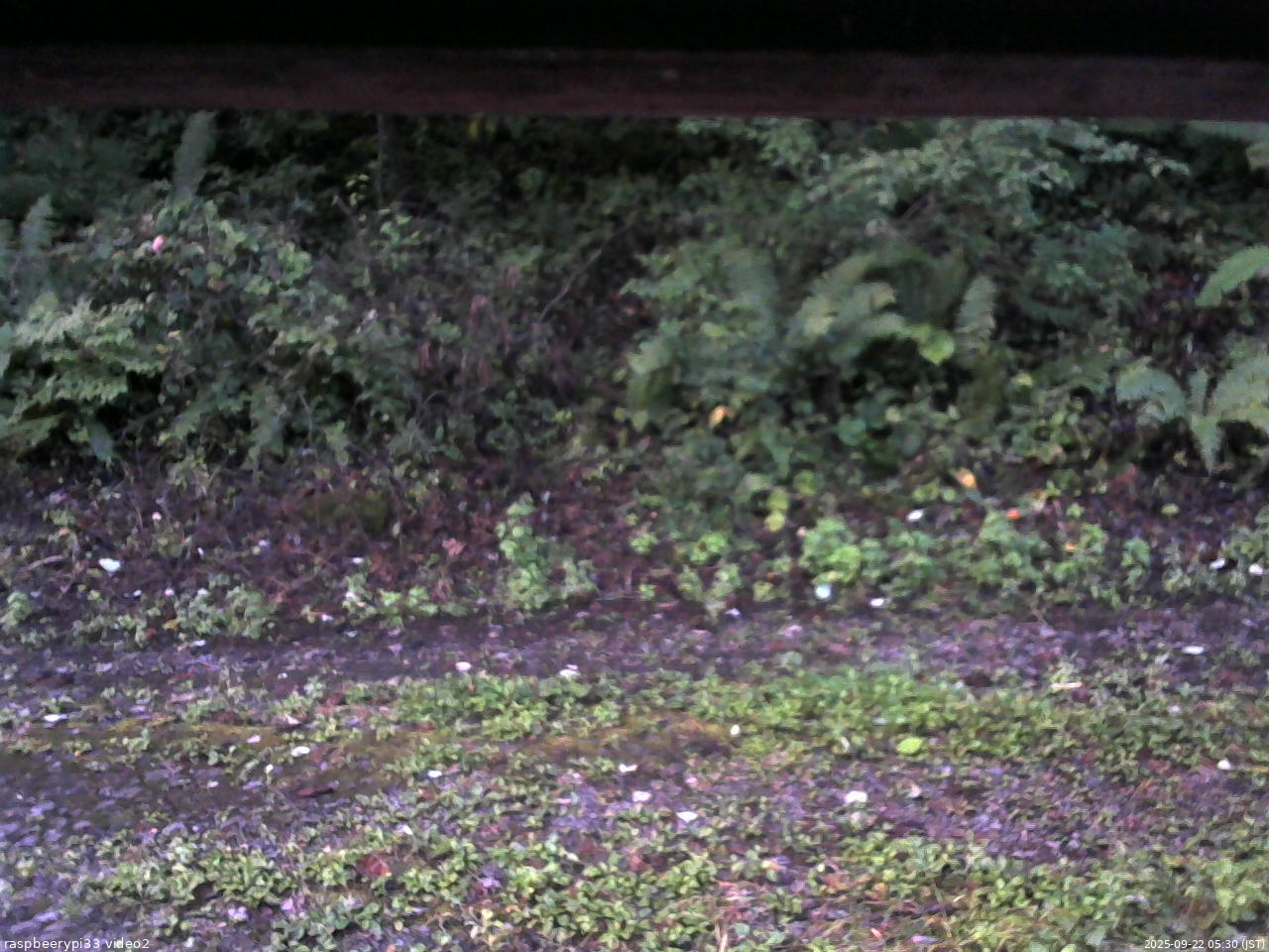 長野県菅平高原 ゆたか山荘 南側 2025/09/22 05:30