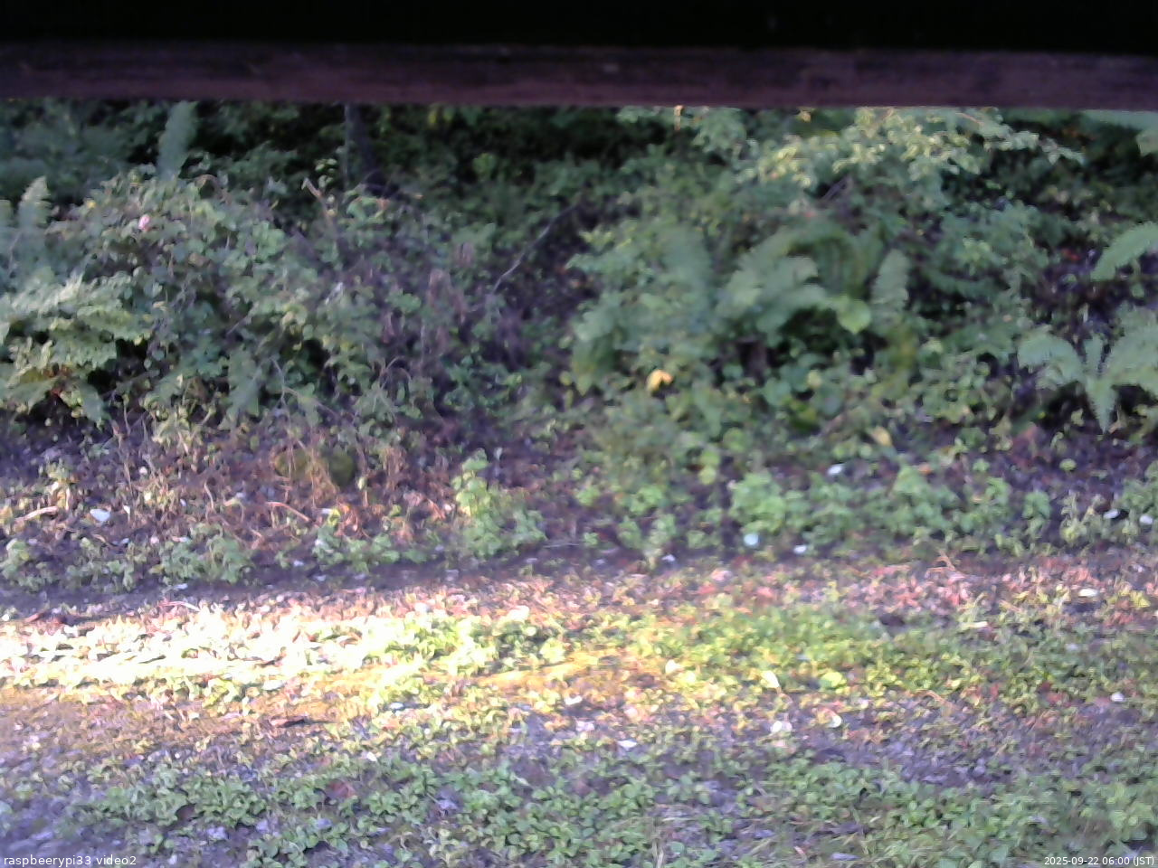 長野県菅平高原 ゆたか山荘 南側 2025/09/22 06:00