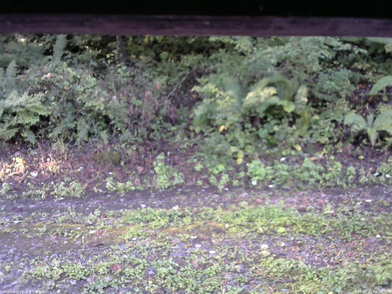 長野県菅平高原 ゆたか山荘 南側 2025/09/22 06:15
