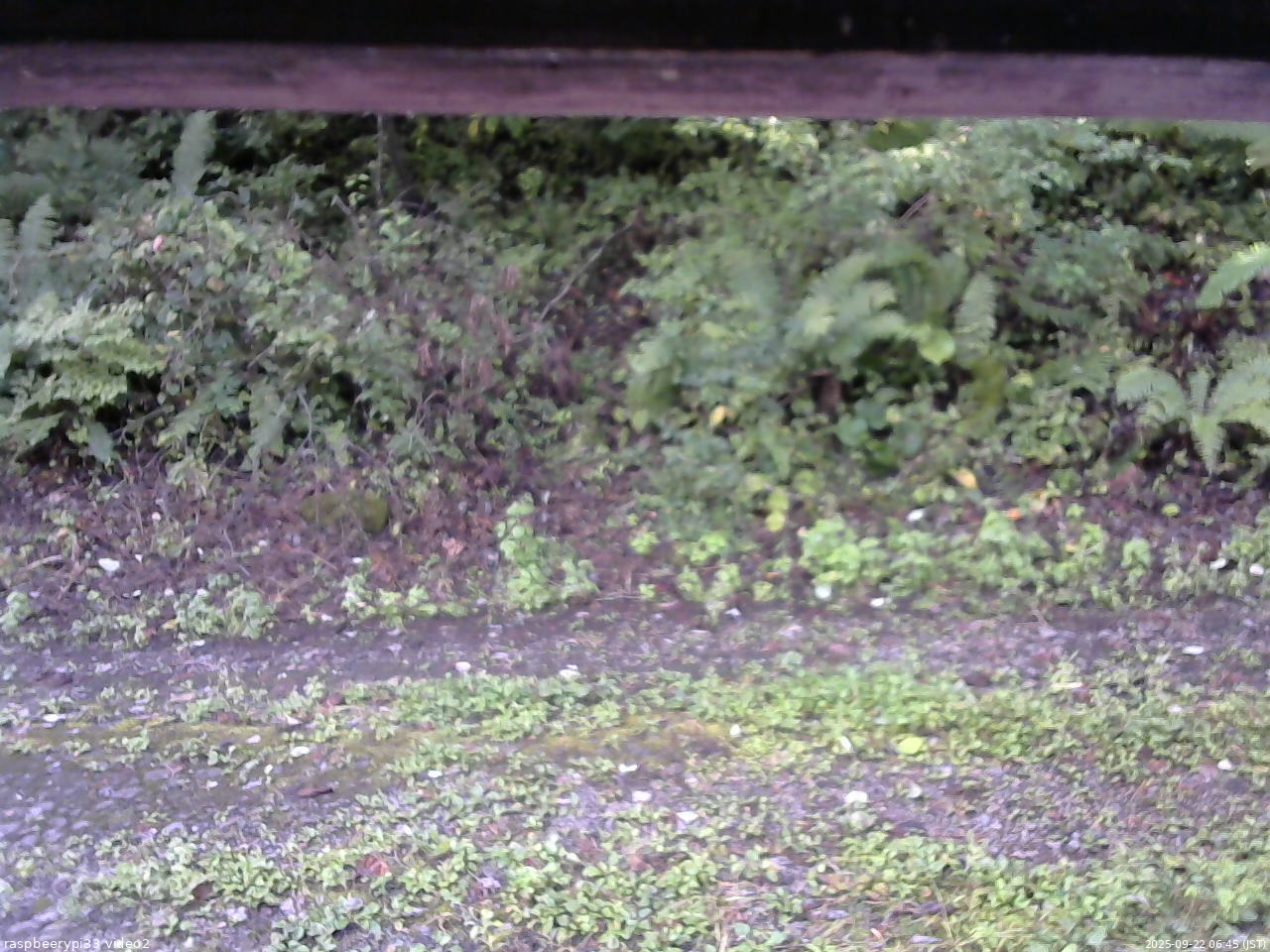 長野県菅平高原 ゆたか山荘 南側 2025/09/22 06:45