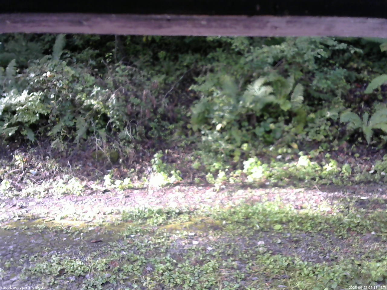 長野県菅平高原 ゆたか山荘 南側 2025/09/22 07:15