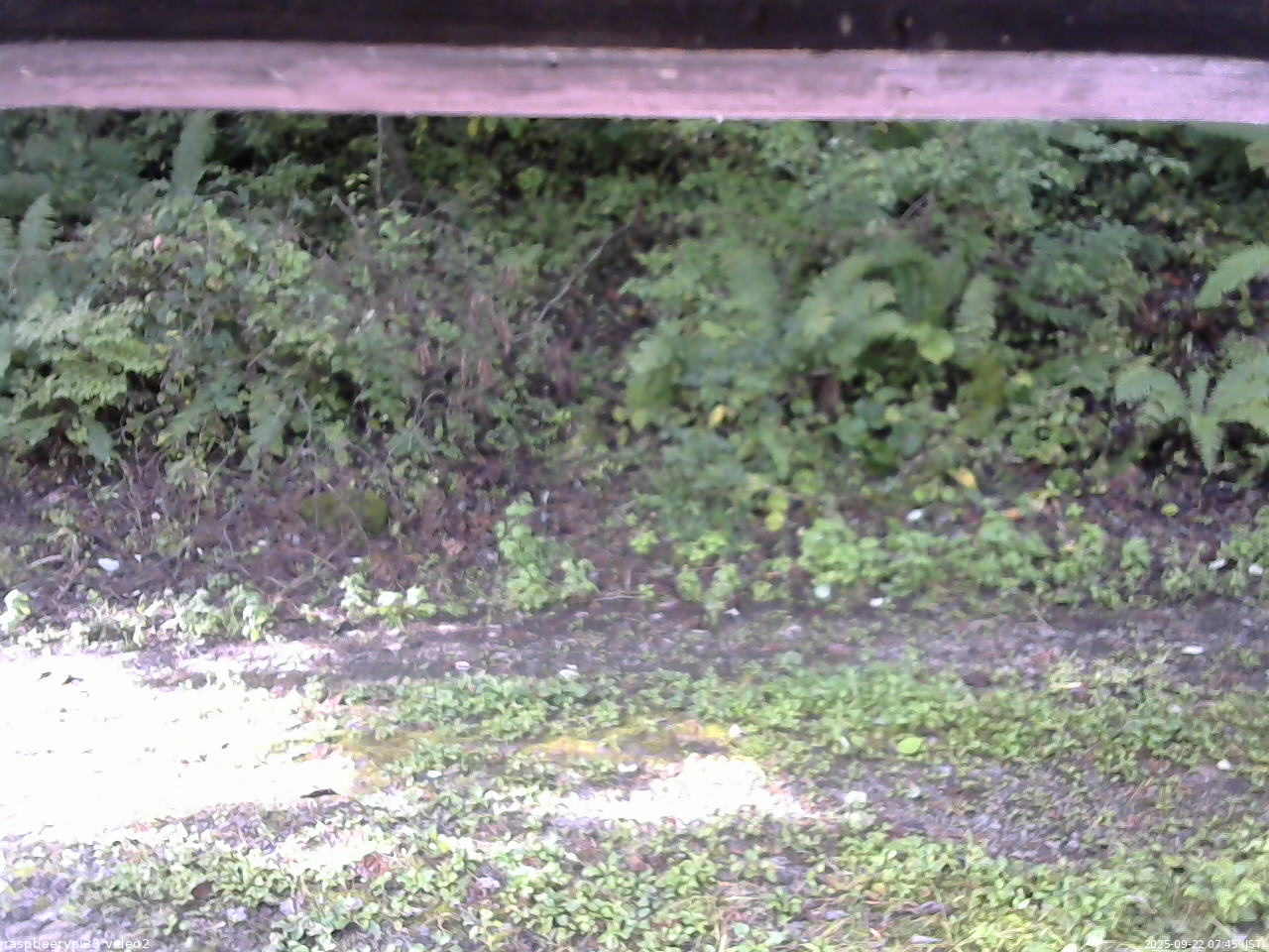 長野県菅平高原 ゆたか山荘 南側 2025/09/22 07:45