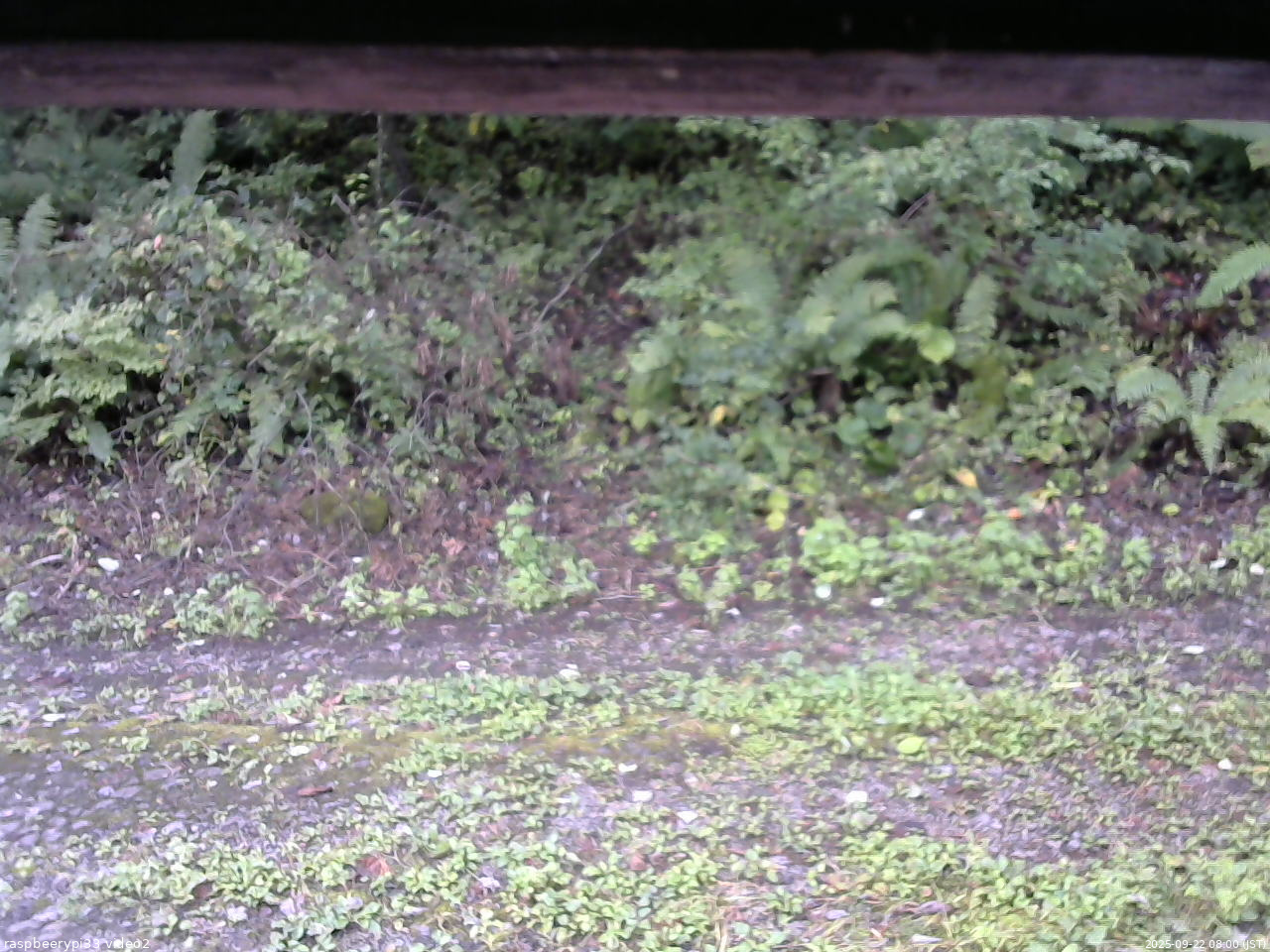 長野県菅平高原 ゆたか山荘 南側 2025/09/22 08:00