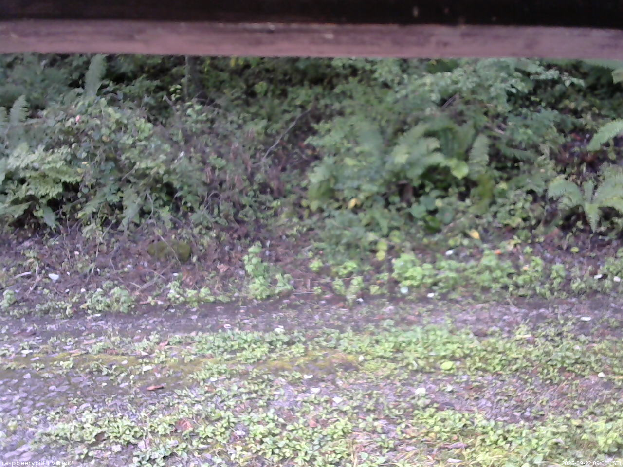長野県菅平高原 ゆたか山荘 南側 2025/09/22 09:00