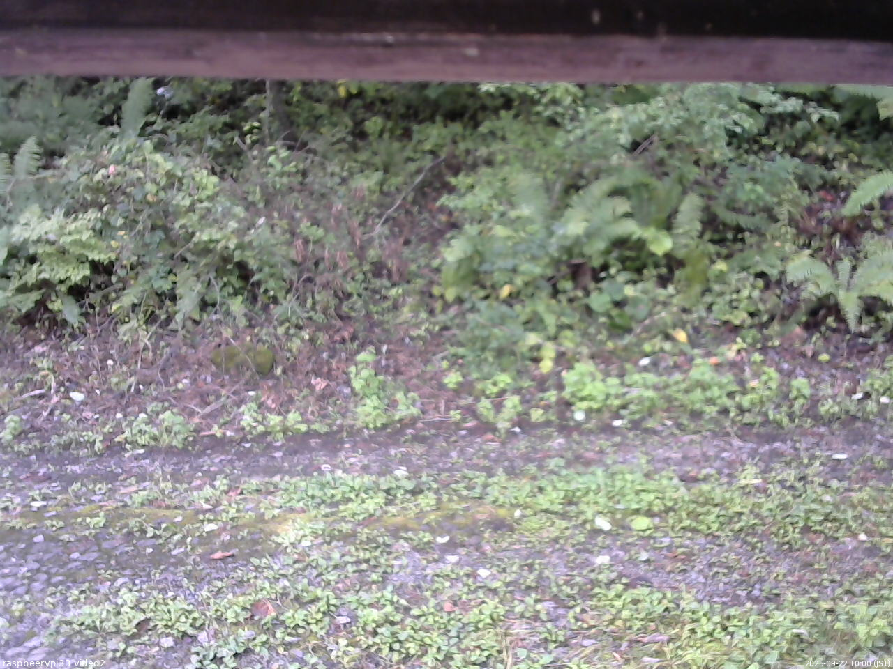 長野県菅平高原 ゆたか山荘 南側 2025/09/22 10:00