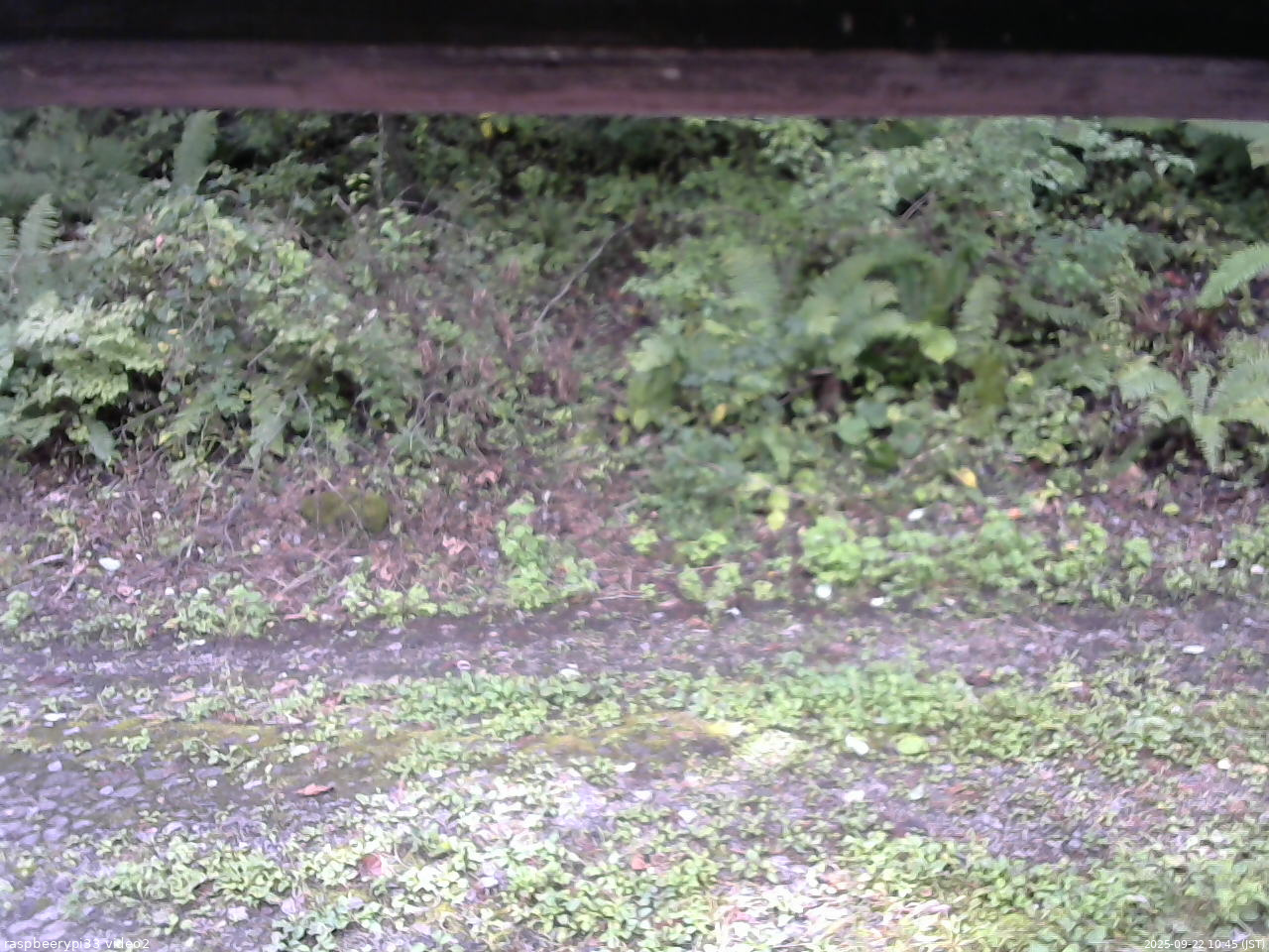 長野県菅平高原 ゆたか山荘 南側 2025/09/22 10:45