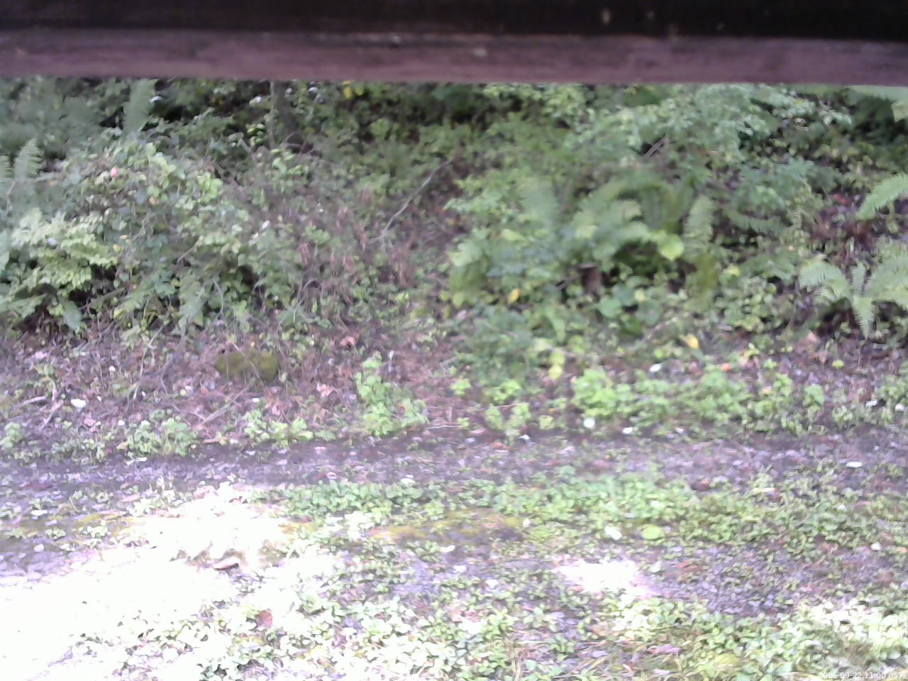 長野県菅平高原 ゆたか山荘 南側 2025/09/22 11:00
