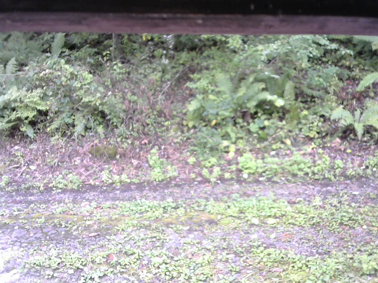 長野県菅平高原 ゆたか山荘 南側 2025/09/22 11:30