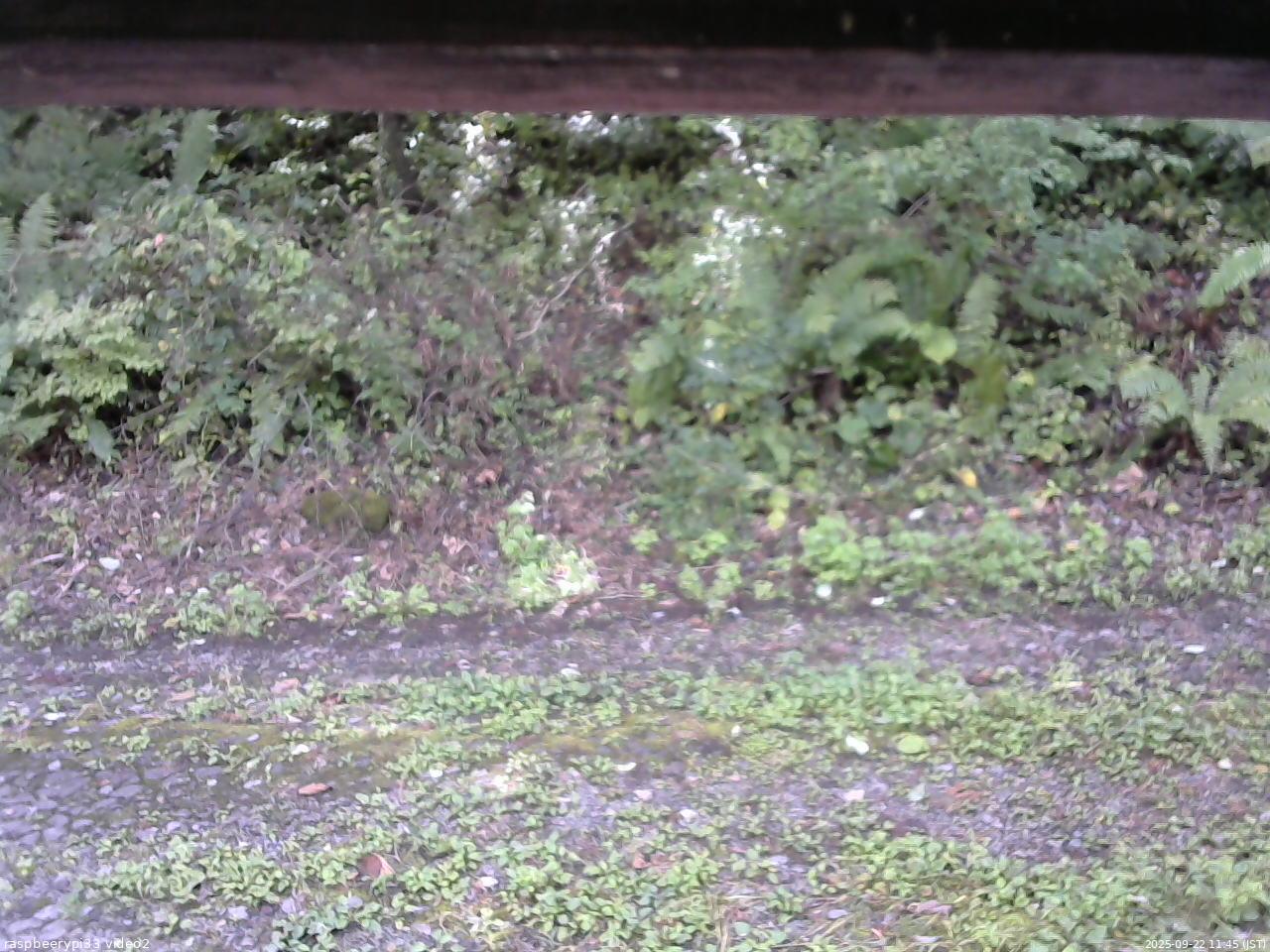 長野県菅平高原 ゆたか山荘 南側 2025/09/22 11:45