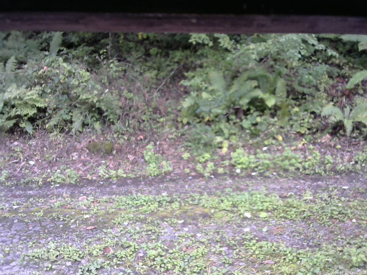 長野県菅平高原 ゆたか山荘 南側 2025/09/22 12:15