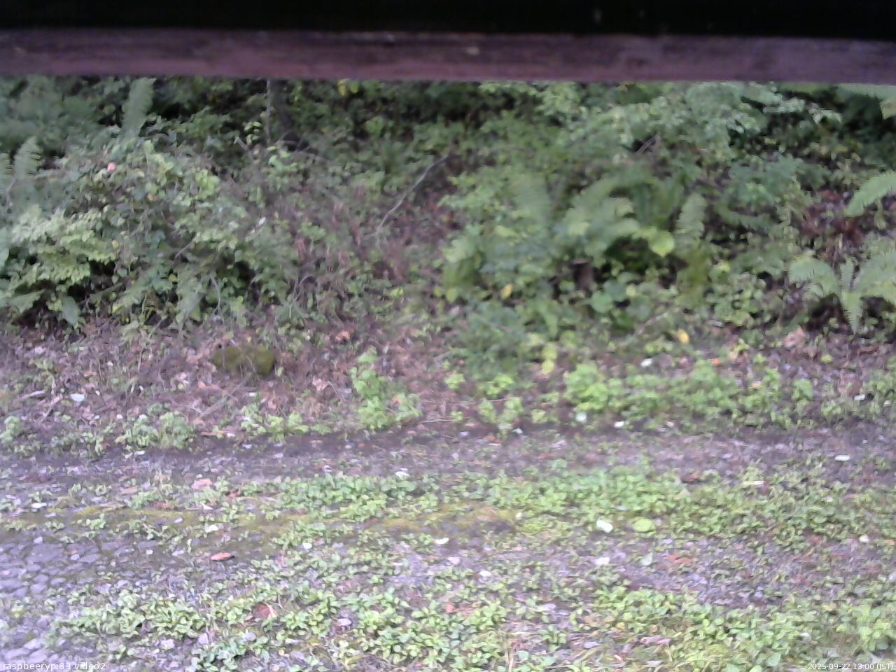 長野県菅平高原 ゆたか山荘 南側 2025/09/22 13:00