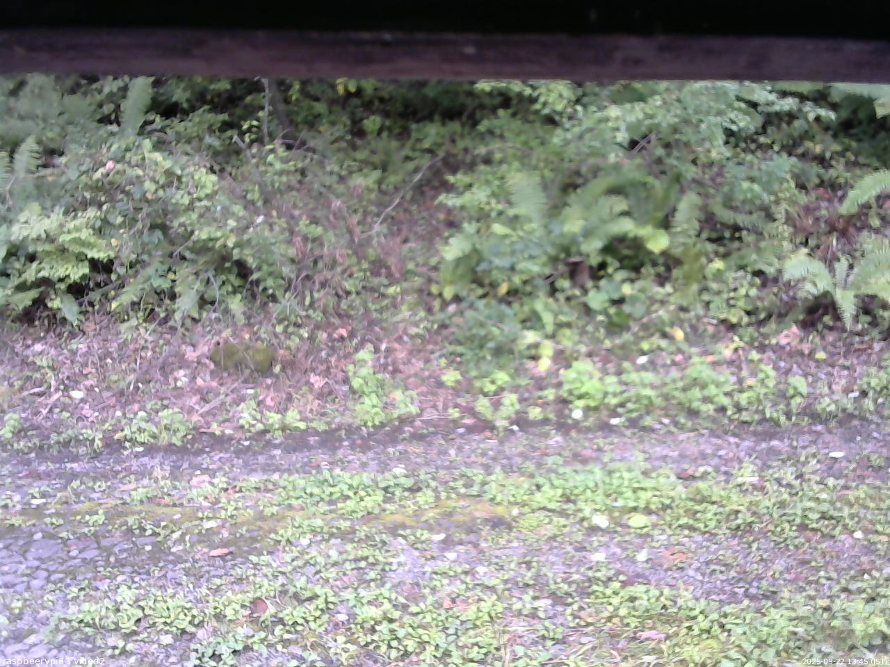 長野県菅平高原 ゆたか山荘 南側 2025/09/22 13:45