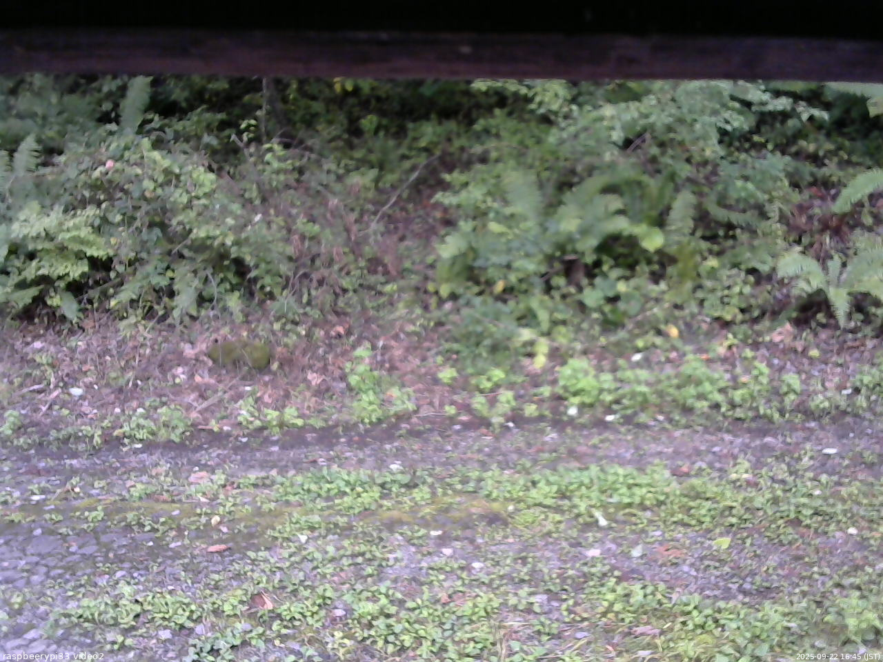 長野県菅平高原 ゆたか山荘 南側 2025/09/22 16:45