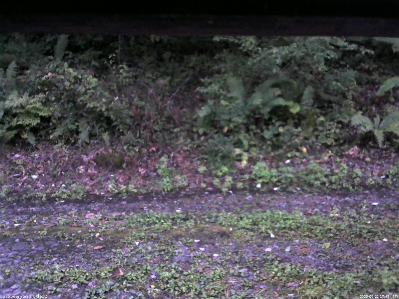 長野県菅平高原 ゆたか山荘 南側 2025/09/22 17:45