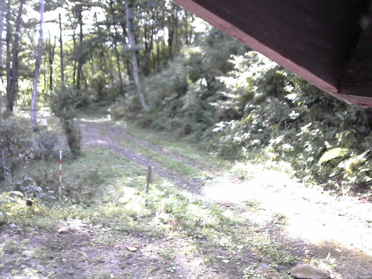 長野県菅平高原 ゆたか山荘 東側(坂下) 2025/09/22 07:30
