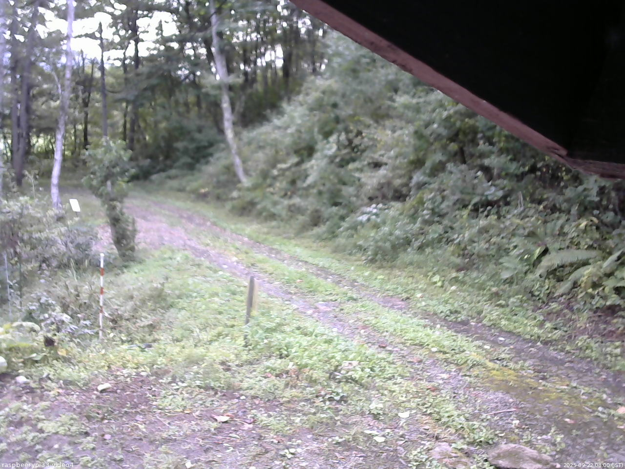 長野県菅平高原 ゆたか山荘 東側(坂下) 2025/09/22 08:00