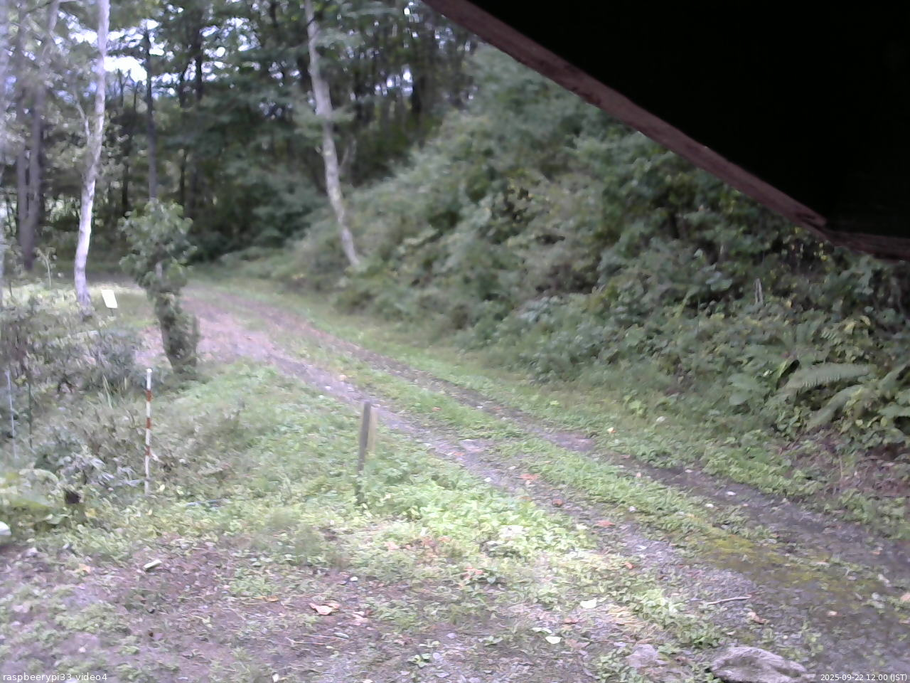 長野県菅平高原 ゆたか山荘 東側(坂下) 2025/09/22 12:00