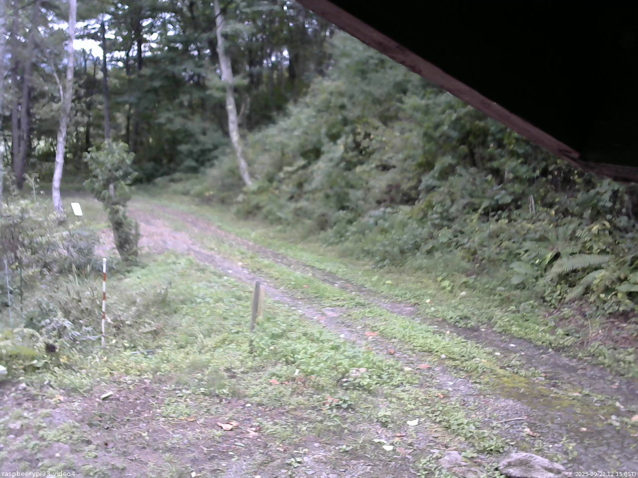 長野県菅平高原 ゆたか山荘 東側(坂下) 2025/09/22 12:15