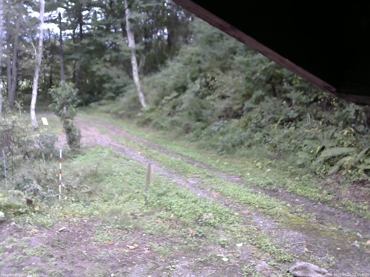 長野県菅平高原 ゆたか山荘 東側(坂下) 2025/09/22 13:45