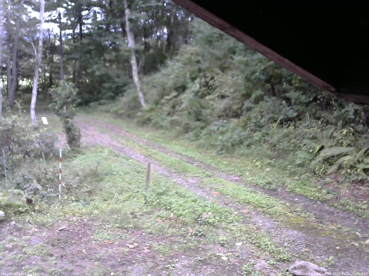 長野県菅平高原 ゆたか山荘 東側(坂下) 2025/09/22 15:30