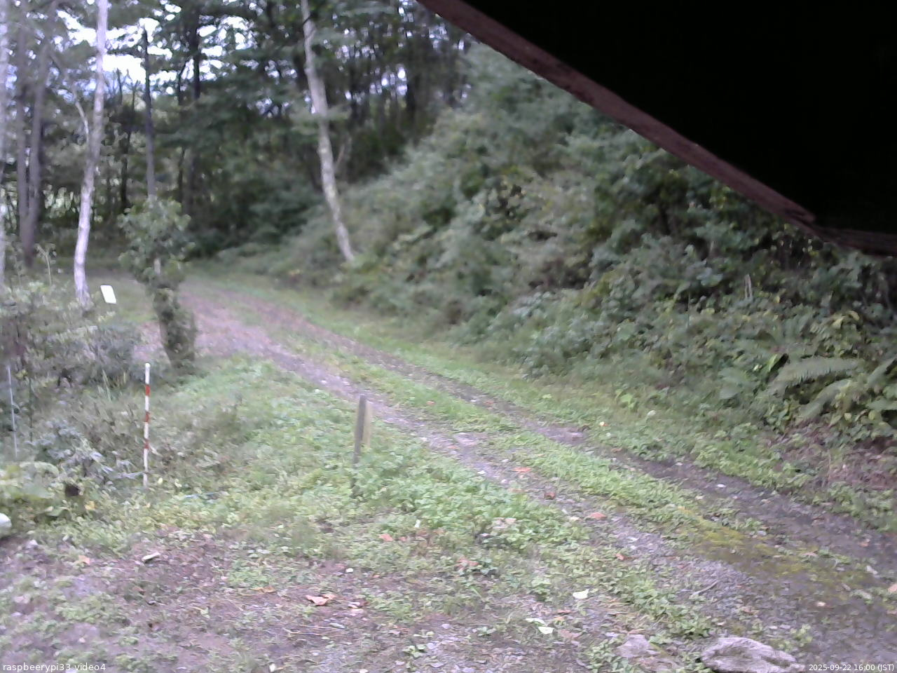 長野県菅平高原 ゆたか山荘 東側(坂下) 2025/09/22 16:00