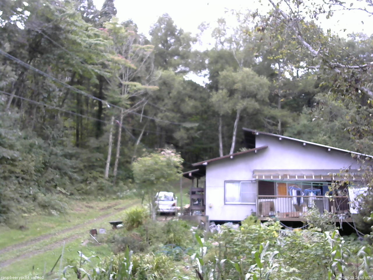 長野県菅平高原 ゆたか山荘 西側(坂上) 2025/09/22 14:45