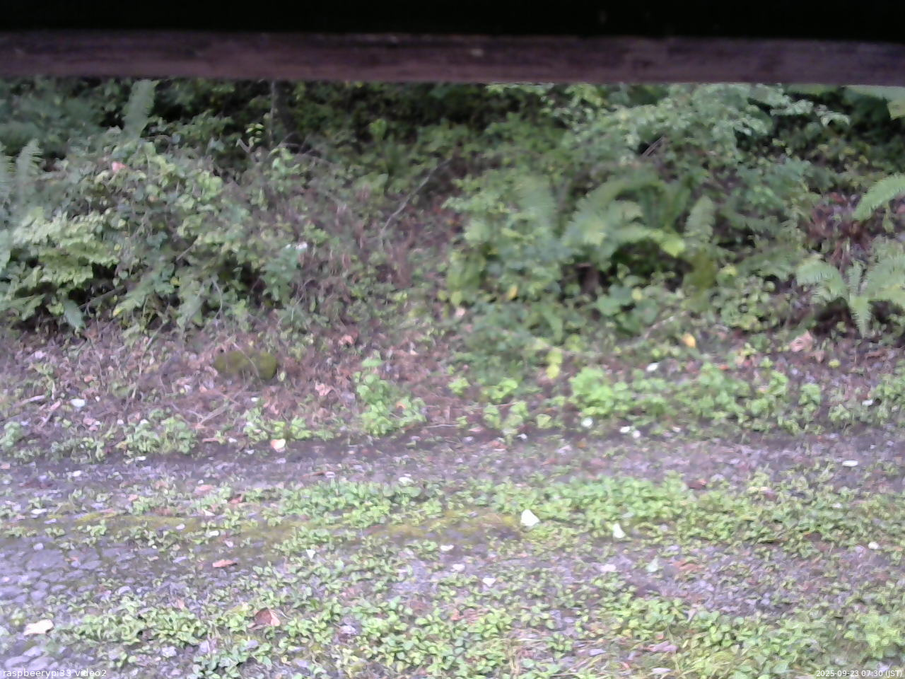 長野県菅平高原 ゆたか山荘 南側 2025/09/23 07:30