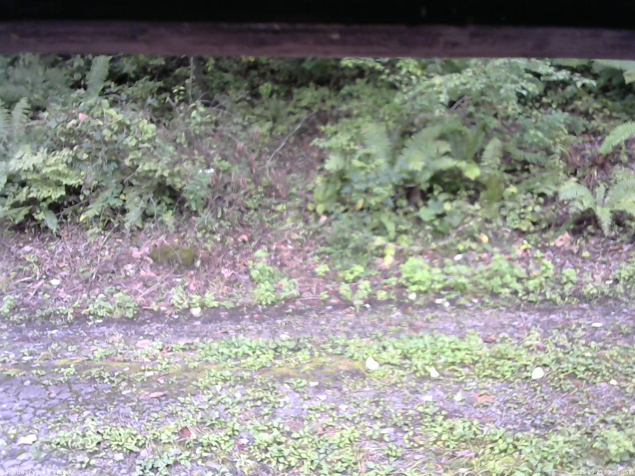 長野県菅平高原 ゆたか山荘 南側 2025/09/23 09:30