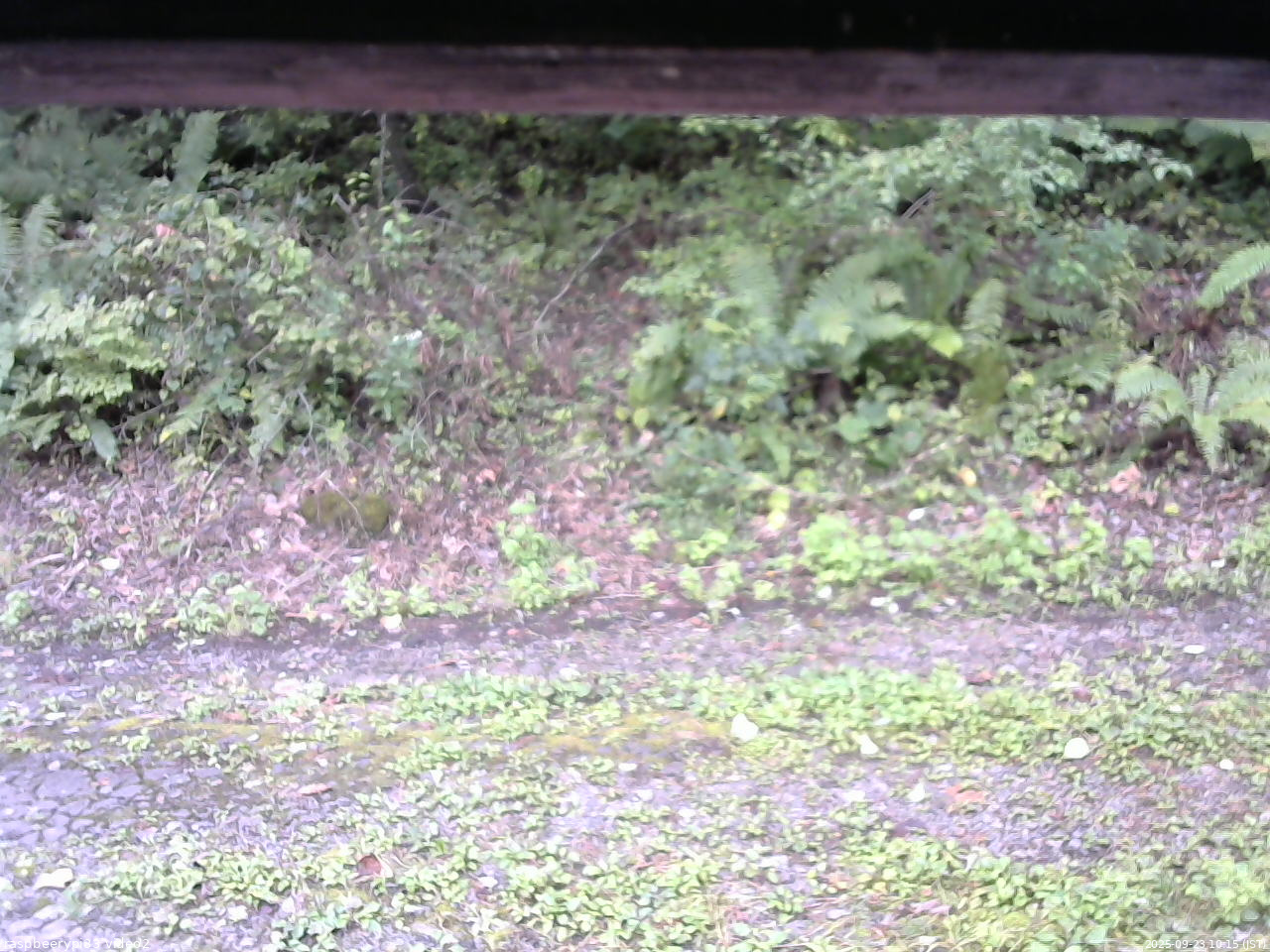 長野県菅平高原 ゆたか山荘 南側 2025/09/23 10:15