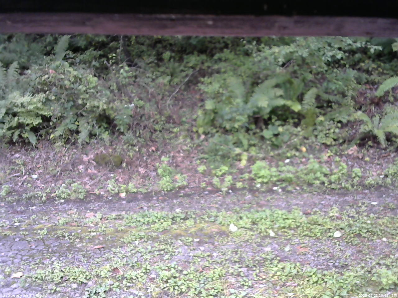 長野県菅平高原 ゆたか山荘 南側 2025/09/23 10:45