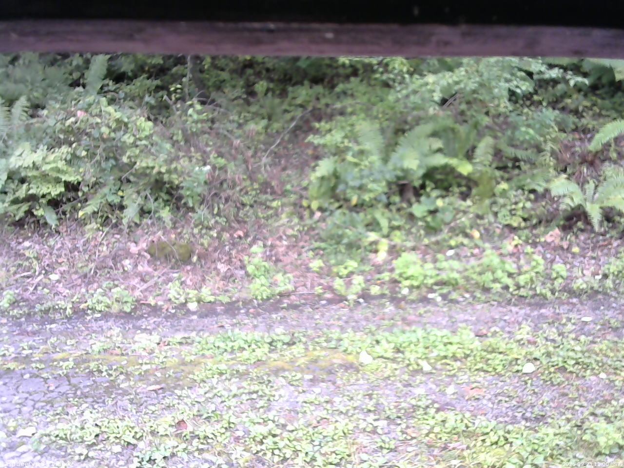 長野県菅平高原 ゆたか山荘 南側 2025/09/23 11:00