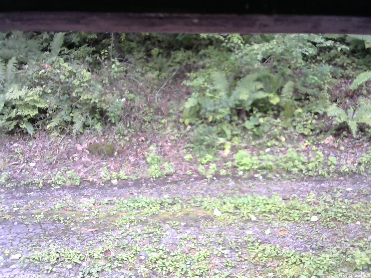 長野県菅平高原 ゆたか山荘 南側 2025/09/23 12:00