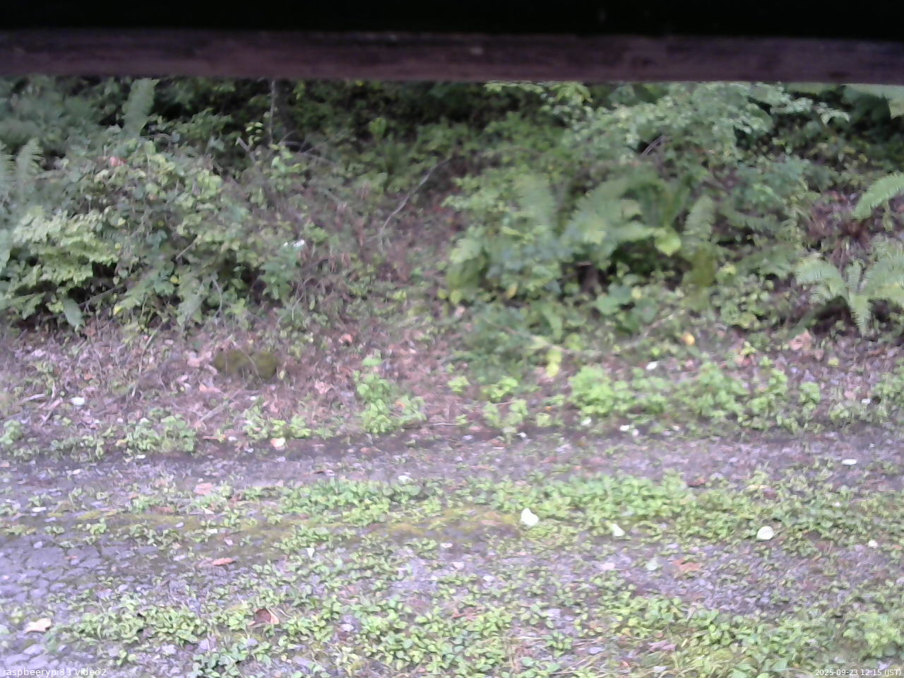長野県菅平高原 ゆたか山荘 南側 2025/09/23 12:15