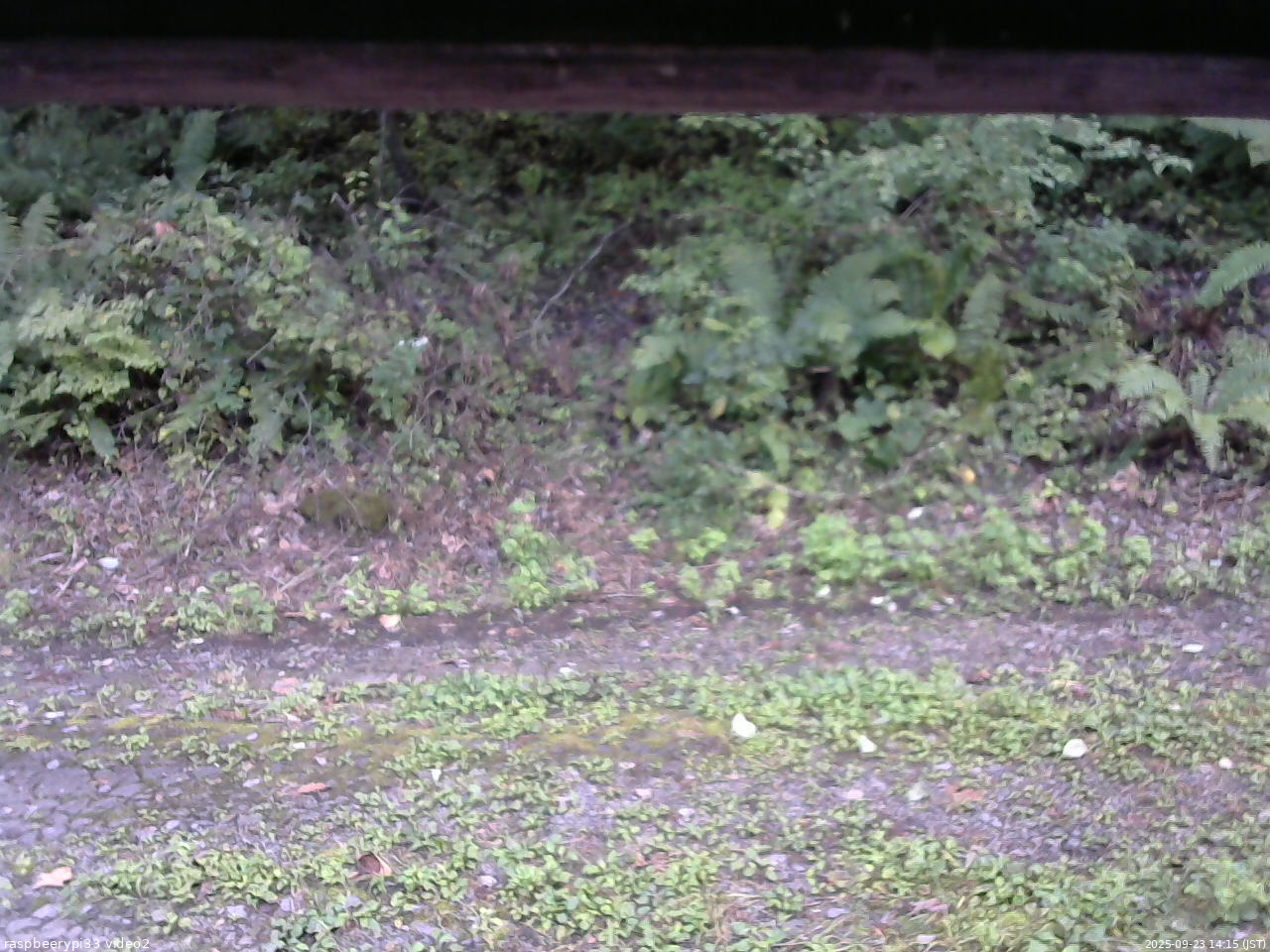 長野県菅平高原 ゆたか山荘 南側 2025/09/23 14:15
