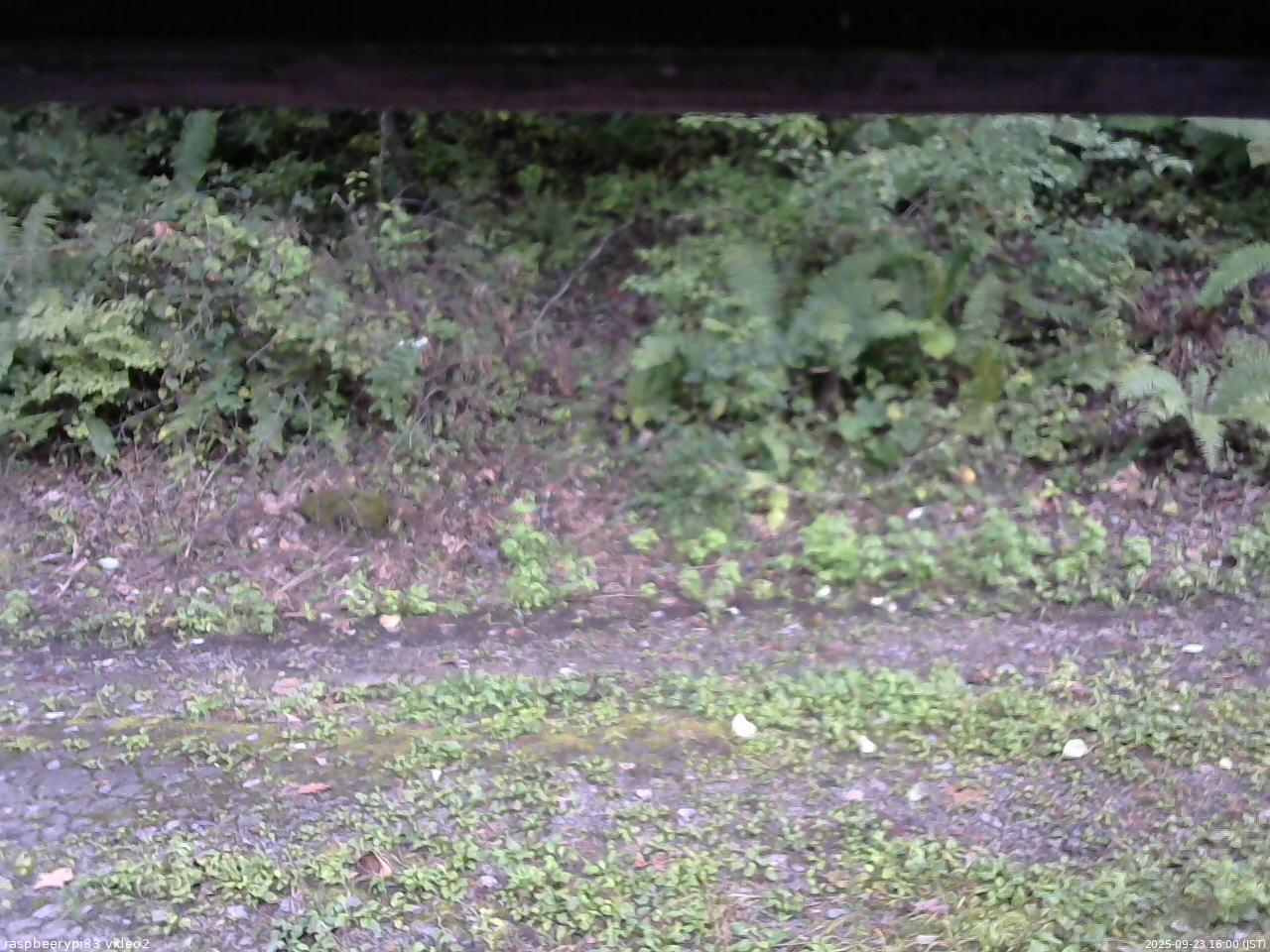 長野県菅平高原 ゆたか山荘 南側 2025/09/23 16:00