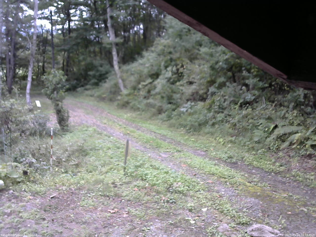 長野県菅平高原 ゆたか山荘 東側(坂下) 2025/09/23 10:15