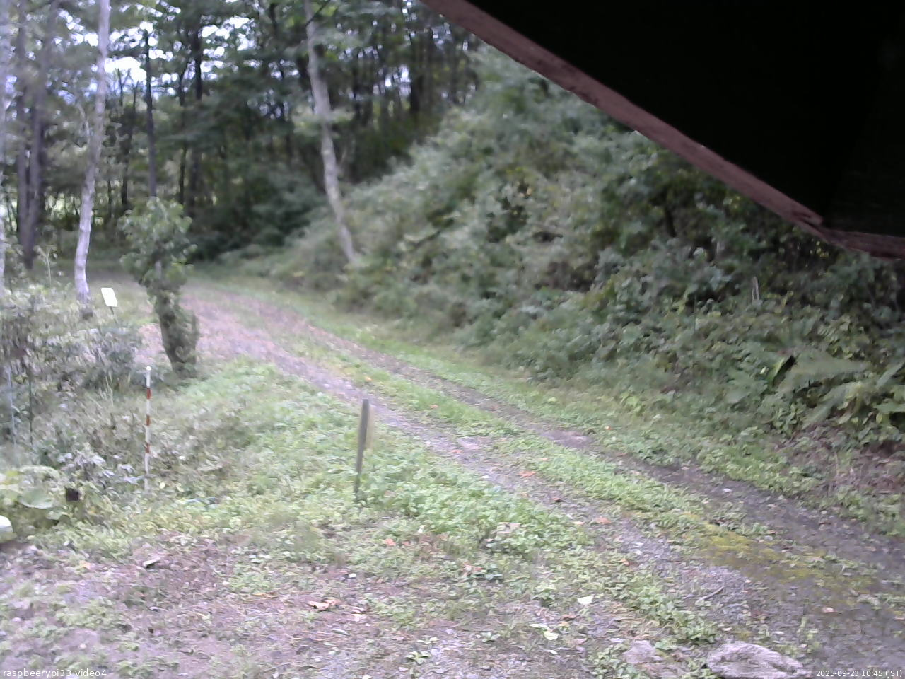 長野県菅平高原 ゆたか山荘 東側(坂下) 2025/09/23 10:45