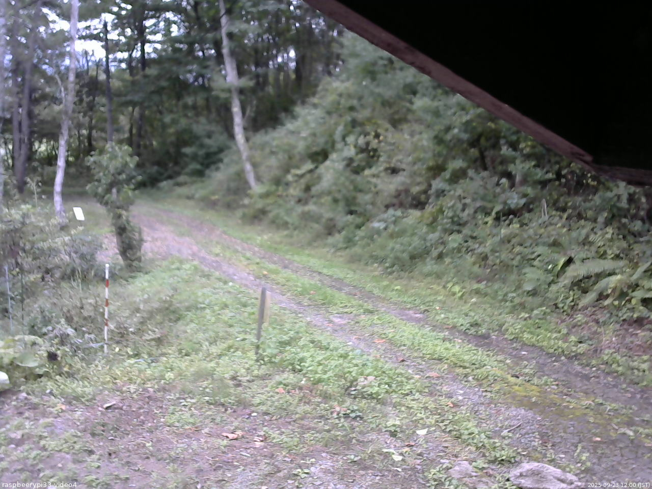長野県菅平高原 ゆたか山荘 東側(坂下) 2025/09/23 12:00
