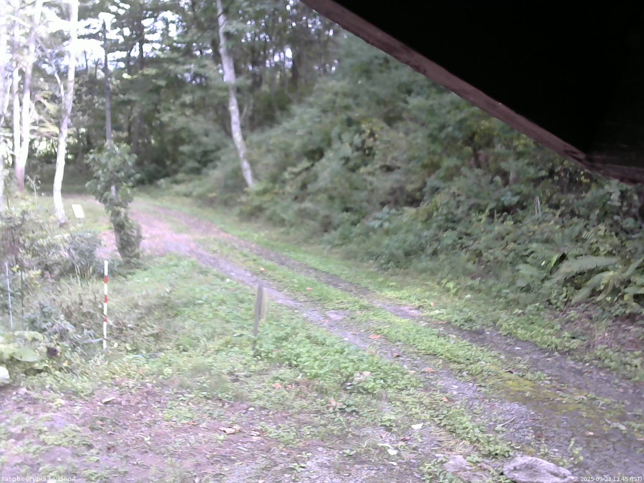長野県菅平高原 ゆたか山荘 東側(坂下) 2025/09/23 13:45