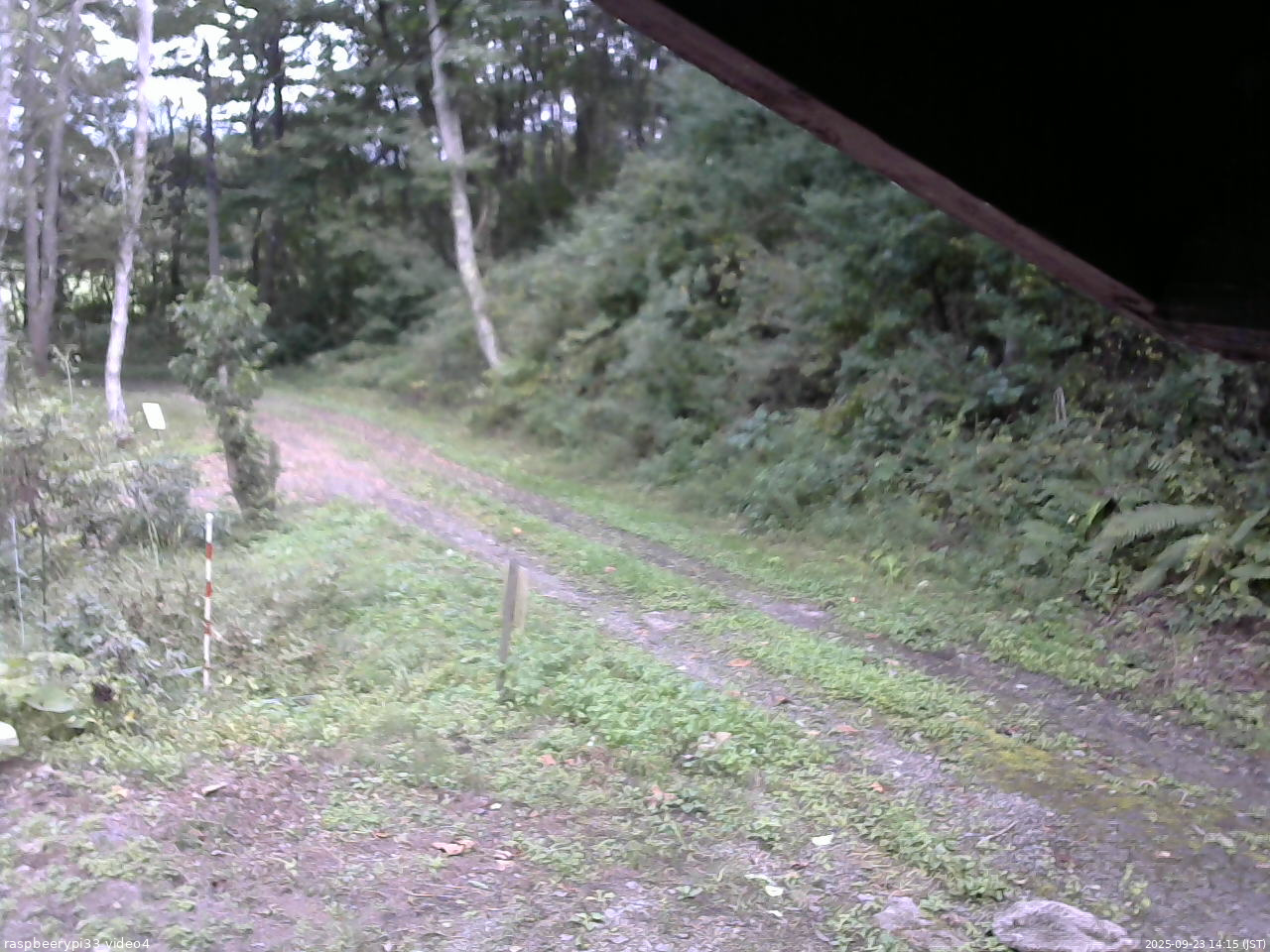 長野県菅平高原 ゆたか山荘 東側(坂下) 2025/09/23 14:15
