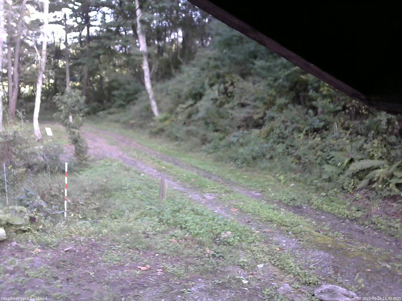長野県菅平高原 ゆたか山荘 東側(坂下) 2025/09/23 15:45