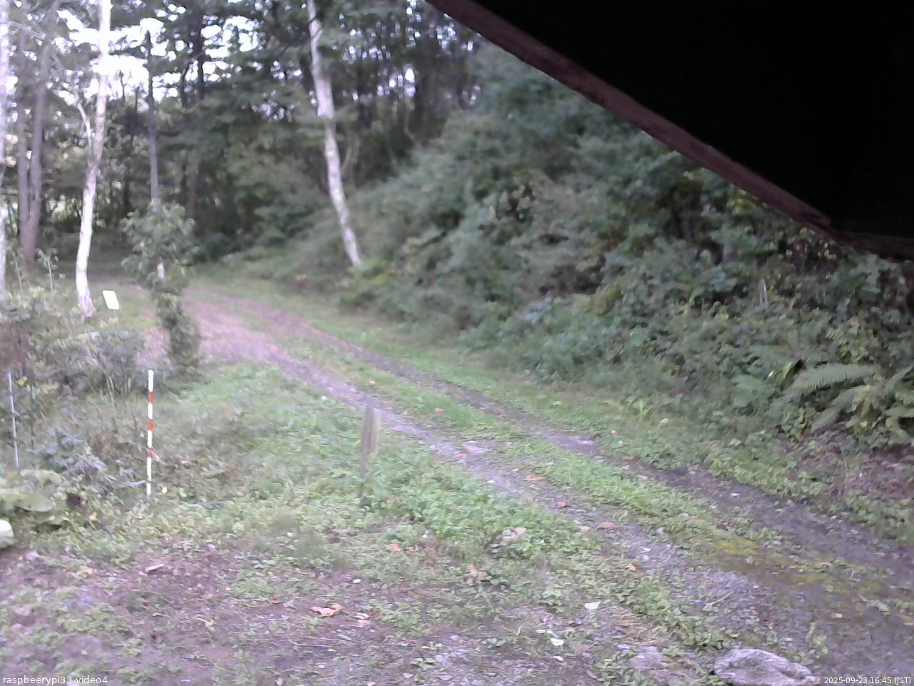 長野県菅平高原 ゆたか山荘 東側(坂下) 2025/09/23 16:45