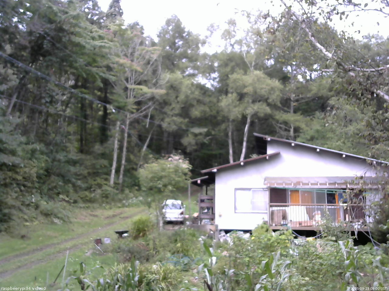 長野県菅平高原 ゆたか山荘 西側(坂上) 2025/09/23 09:00