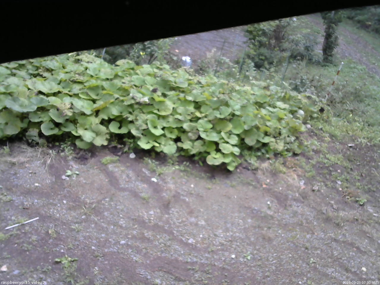 長野県菅平高原 ゆたか山荘 駐車場 2025/09/23 07:30