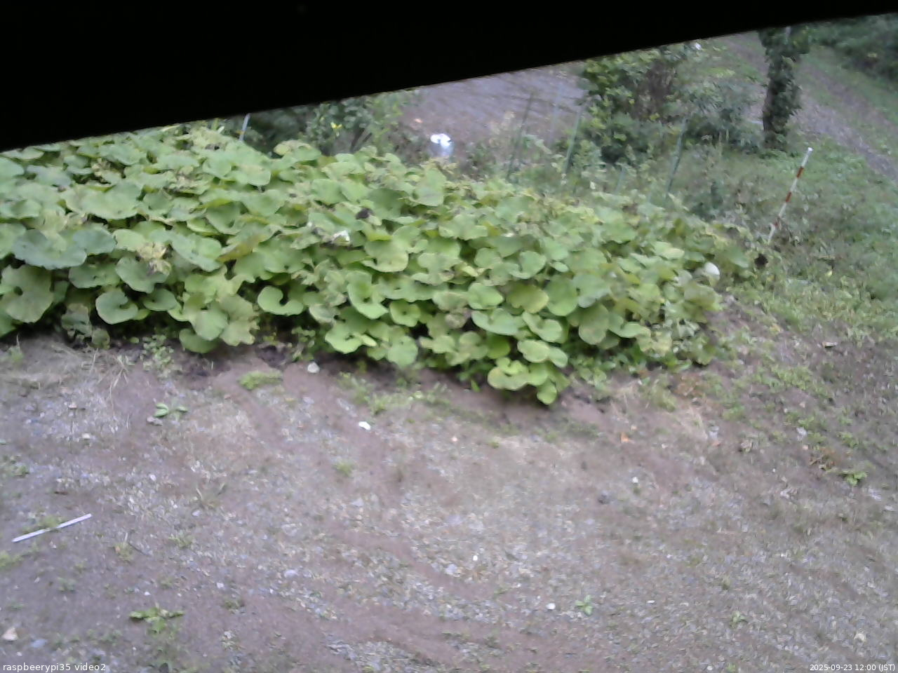 長野県菅平高原 ゆたか山荘 駐車場 2025/09/23 12:00