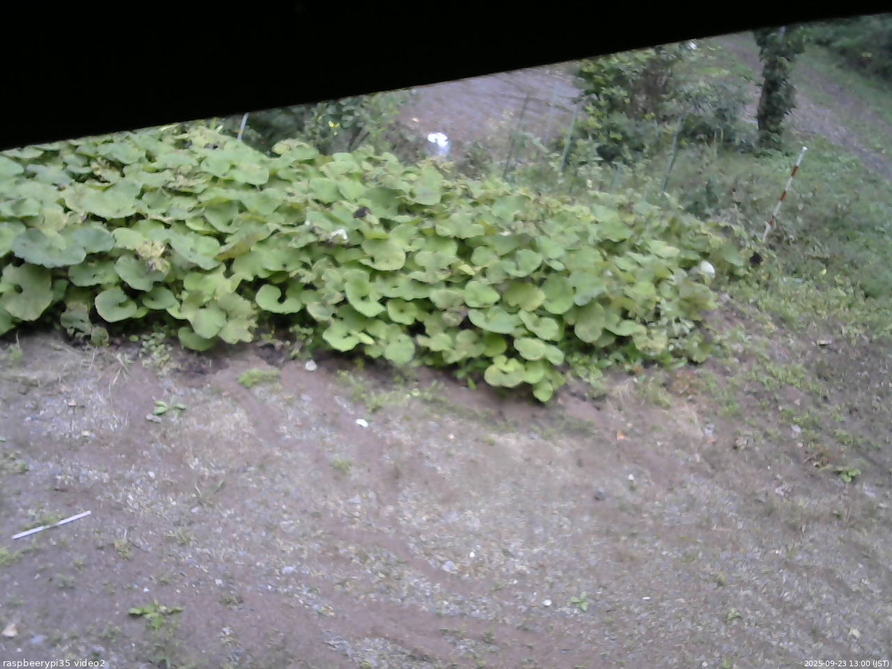 長野県菅平高原 ゆたか山荘 駐車場 2025/09/23 13:00