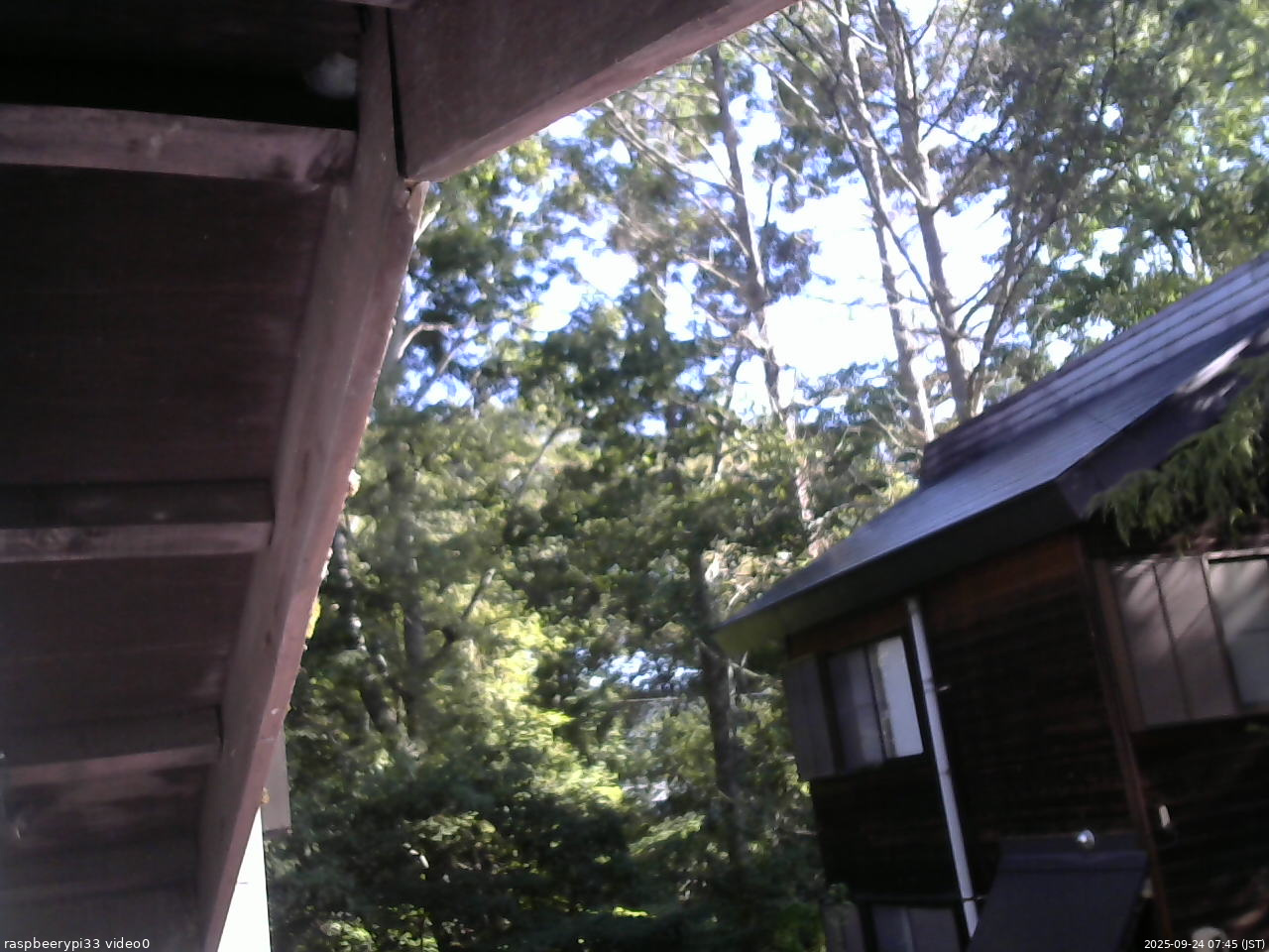 長野県菅平高原 ゆたか山荘 北側 2025/09/24 07:45