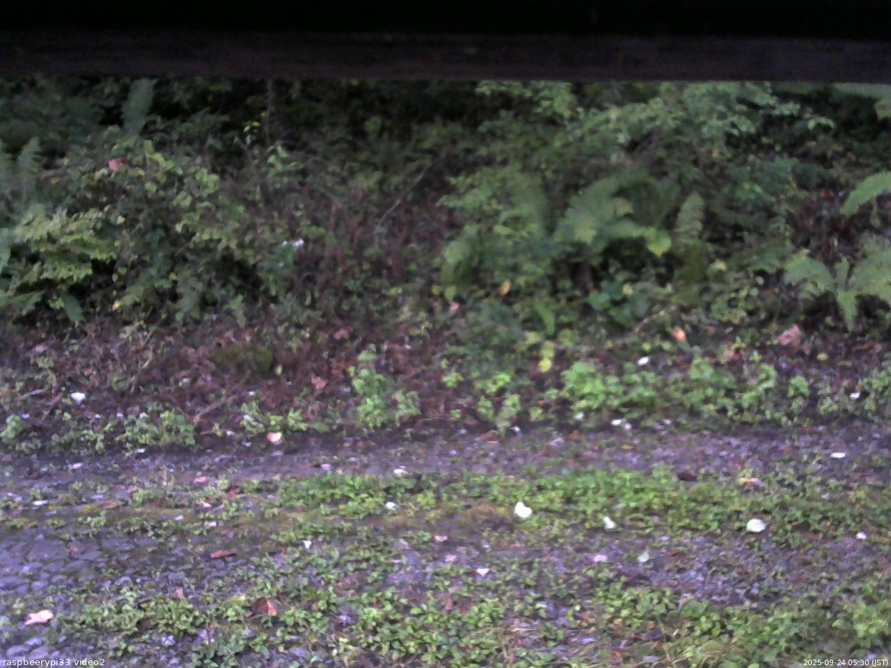 長野県菅平高原 ゆたか山荘 南側 2025/09/24 05:30